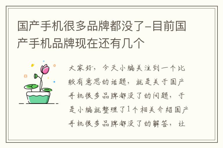 國(guó)產(chǎn)手機(jī)很多品牌都沒(méi)了-目前國(guó)產(chǎn)手機(jī)品牌現(xiàn)在還有幾個(gè)
